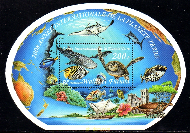 AÑO INTERNACIONAL DEL PLANETA TIERRA