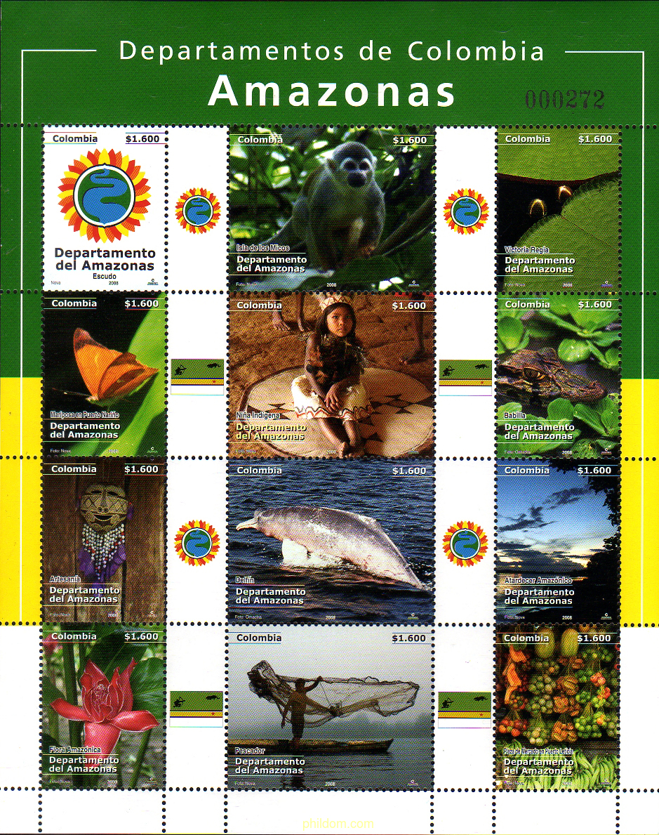 DEPARTAMENTO DEL AMAZONAS