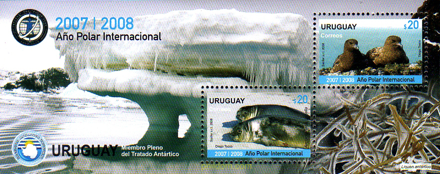 AÑO POLAR