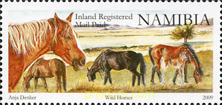 CABALLOS SALVAJES
