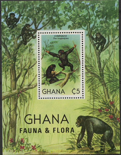 FAUNA Y FLORA