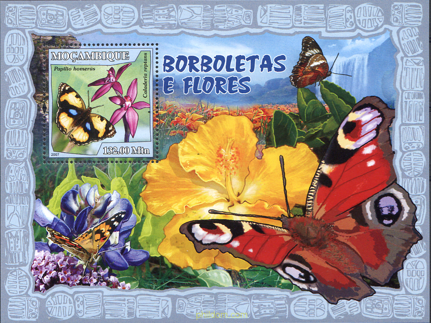 MARIPOSAS Y FLORES