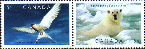 SALVARGUAR LOS GLACIARES