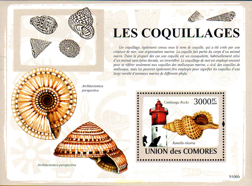 CONCHAS Y FAROS