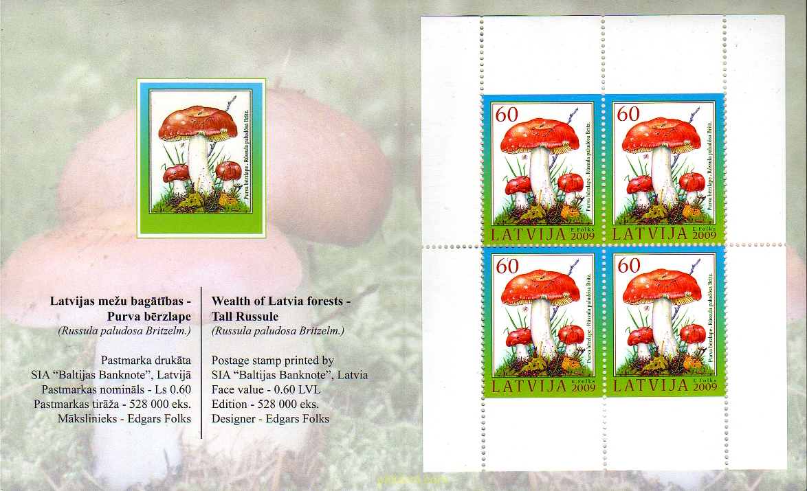 SETAS DE CARNET