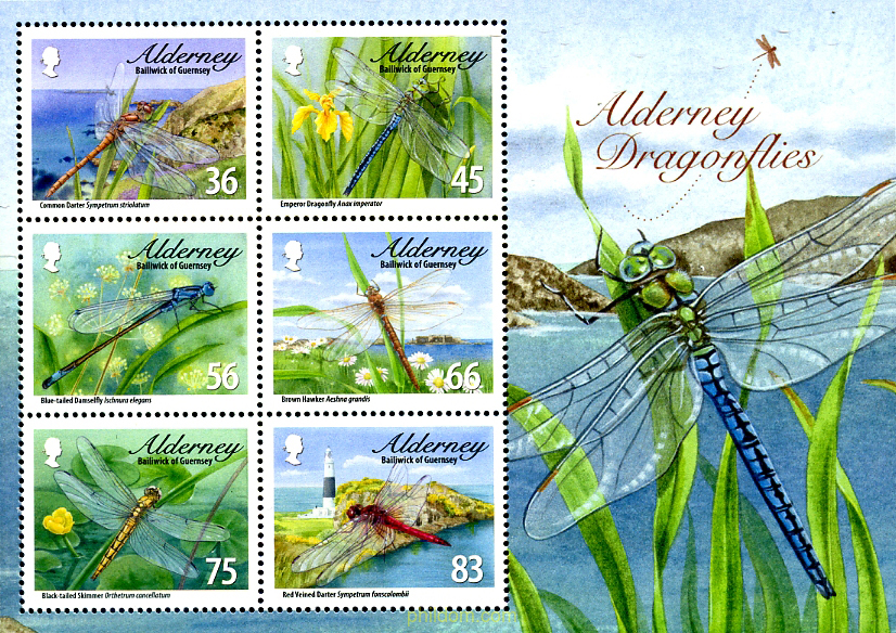 INSECTOS
