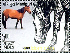 CABALLOS