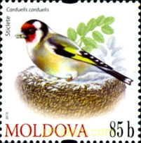Formato 250052