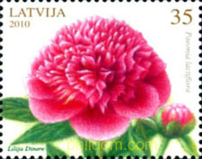 FLORES