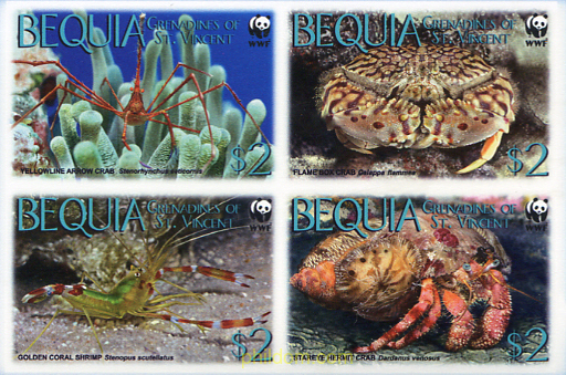 FAUNA MARINA PROTEGIDA