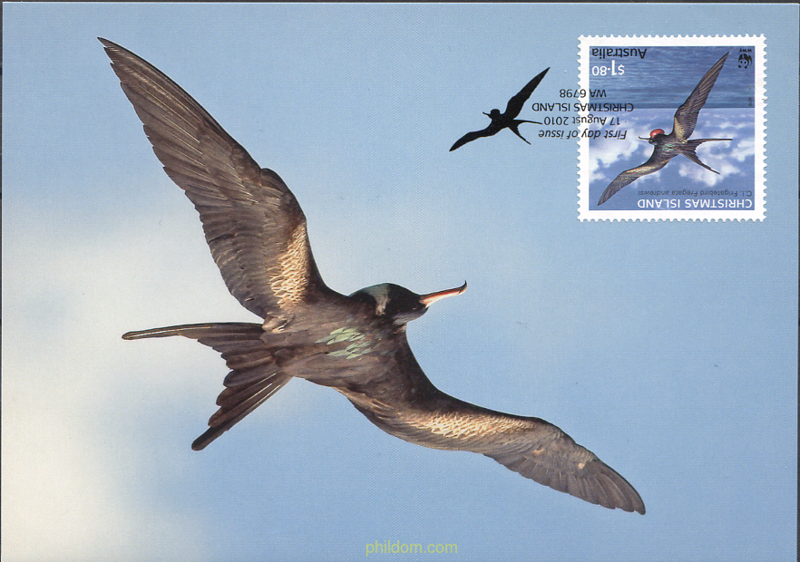 AVES