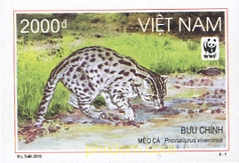 GATO PESCADOR