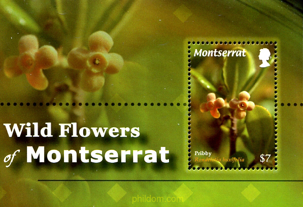 FLORES