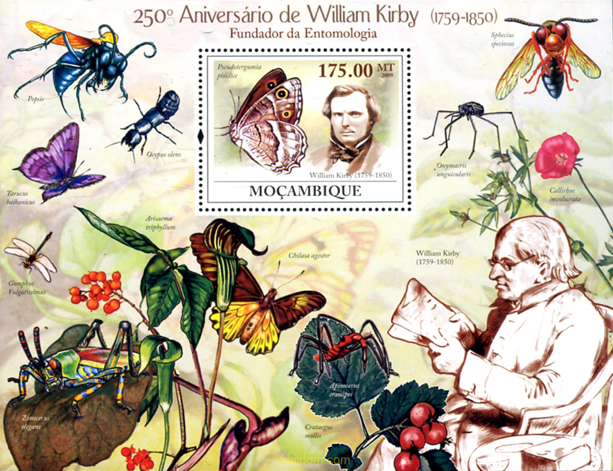 250 ANIVERSARIO DE WILLIAM KIRBY