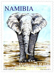 ANIMALES DE AFRICA