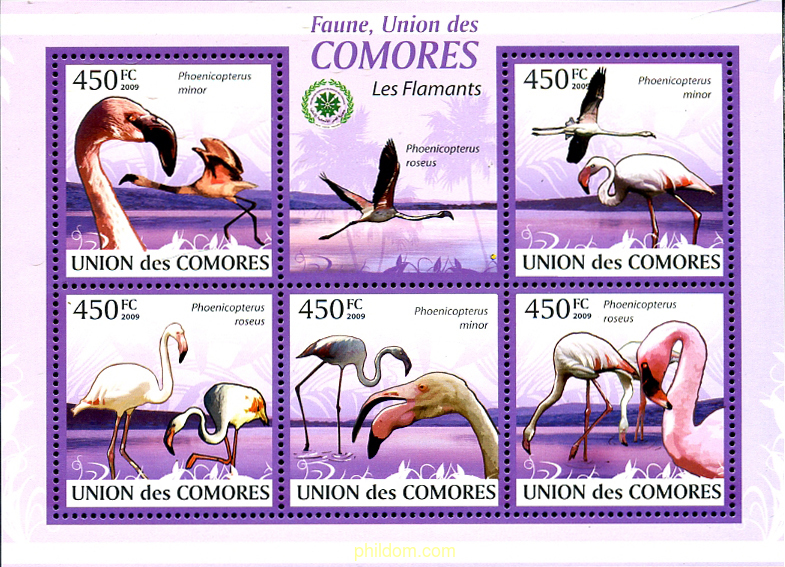 FLAMENCOS
