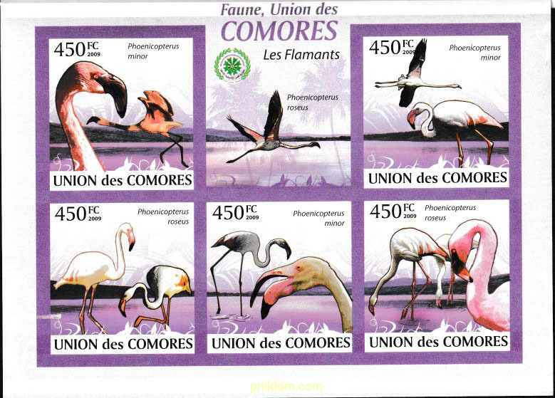 FLAMENCOS