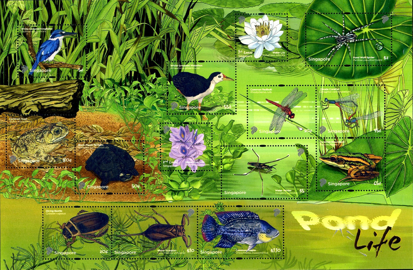 FAUNA Y FLORA
