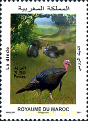 FAUNA Y FLORA