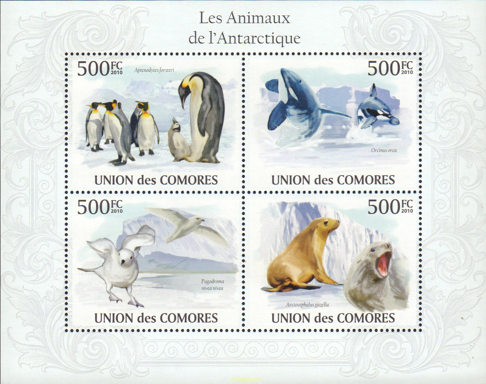 FAUNA DE LA ANTARTICA