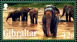 FAUNA