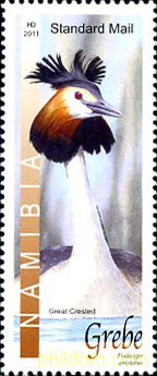 AVES