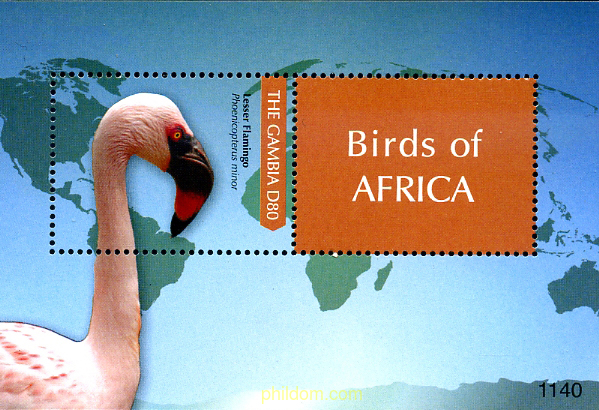 FAUNA - AVES