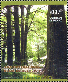 AÑO INTERNACIONAL DE LOS BOSQUES