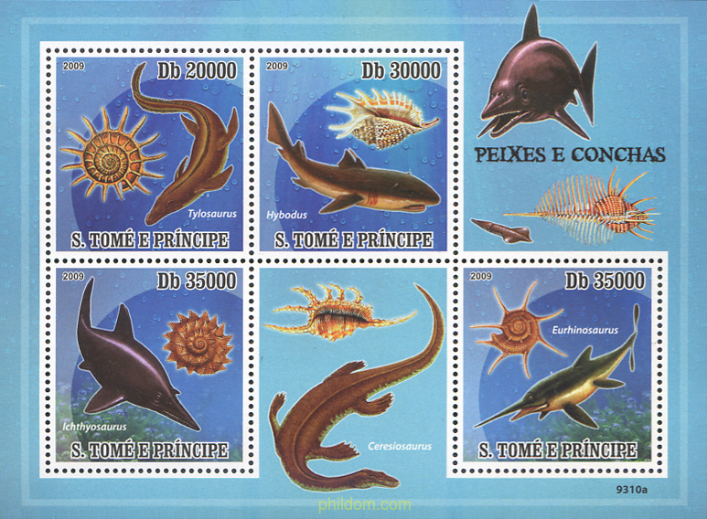 PECES Y CONCHAS PREHISTORICOS