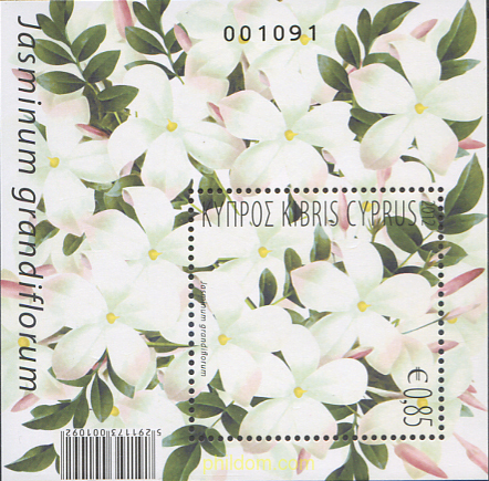 FLORES AROMATICAS