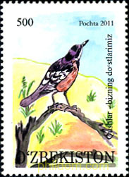 AVES