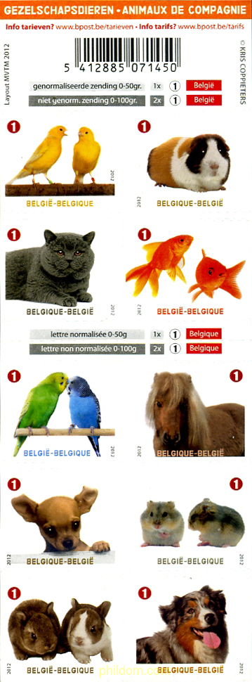 ANIMALES DE COMPAÑIA