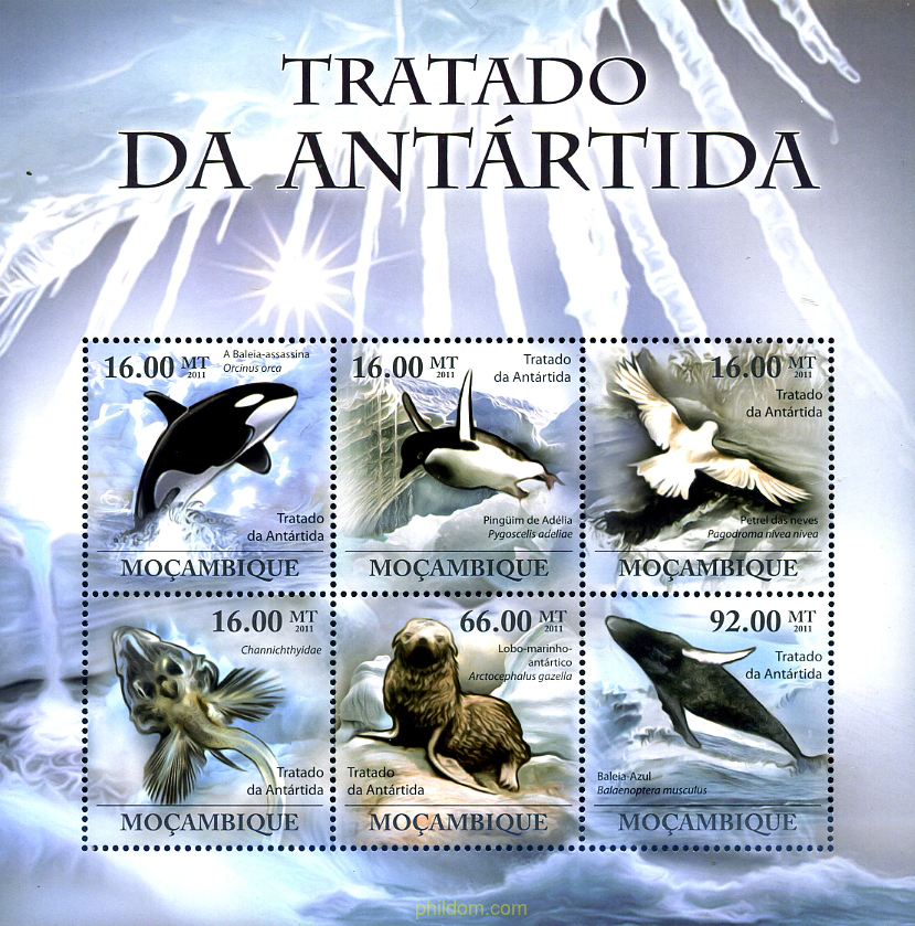 FAUNA MARINA