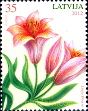 FLORES