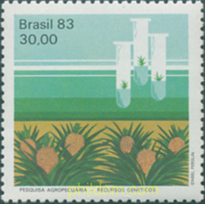 CONQUISTAS DE LA BUSQUEDA AGRO-PASTORAL BRASILEÑA