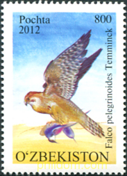FAUNA RARA DE UZBEKISTAN