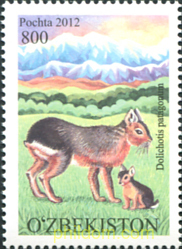 FAUNA DEL ZOO TASHKENT