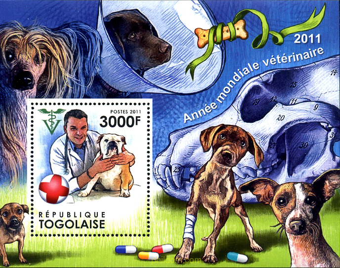 AÑO MUNDIAL DEL VETERINARIO