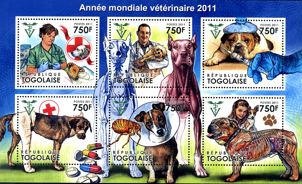 AÑO MUNDIAL DEL VETERINARIO