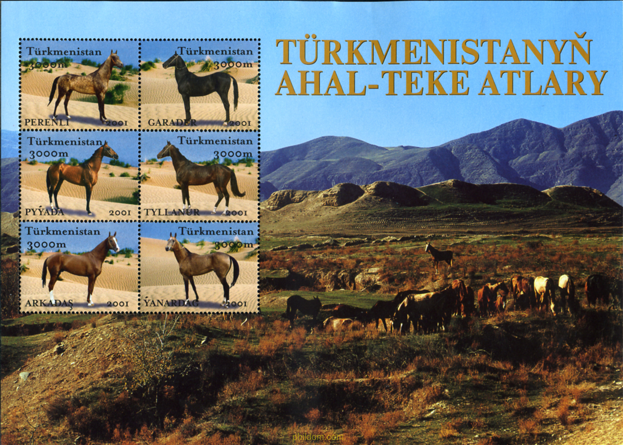 CABALLOS DE RAZA AKHAL-TEKE