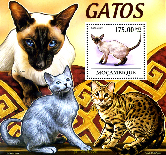 GATOS