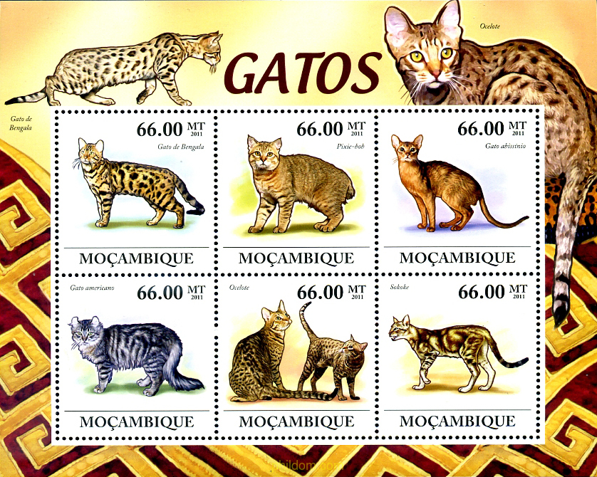 GATOS