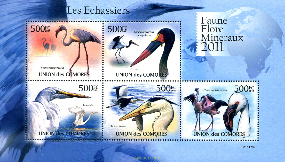 AVES ZANCUDAS