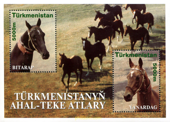 CABALLOS DE RAZA AKHAL-TEKE