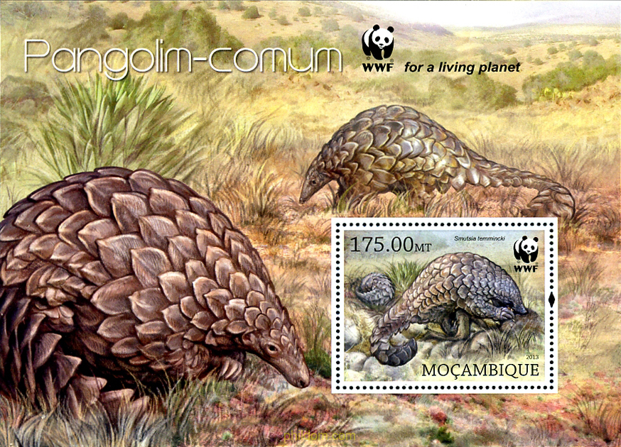 WWF-PANGOLIN