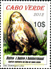 FAUNA Y FLORA