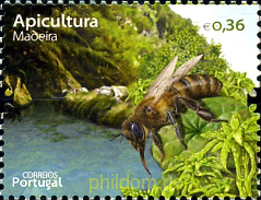 APICULTURA