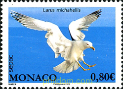 AVES MARINAS