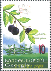 FRUTOS