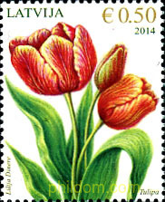 FLOR